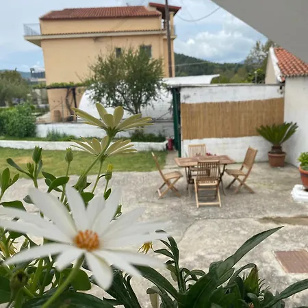 Apartment Navy With Mountain View &private Parking *