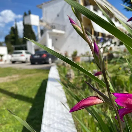 Navy By Likeyourhome With Mountain View Balcony, Near 1 Km, Self Check-in