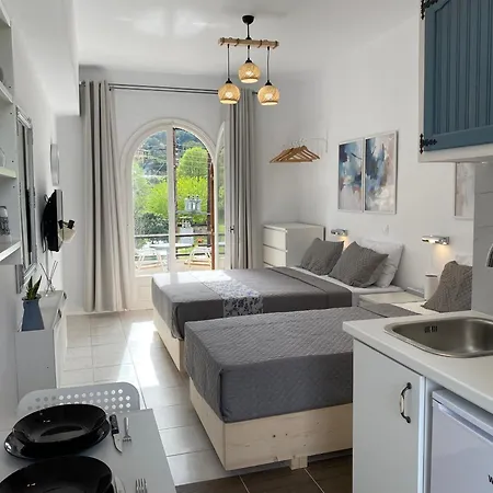 Apartment Navy With Mountain View &private Parking *